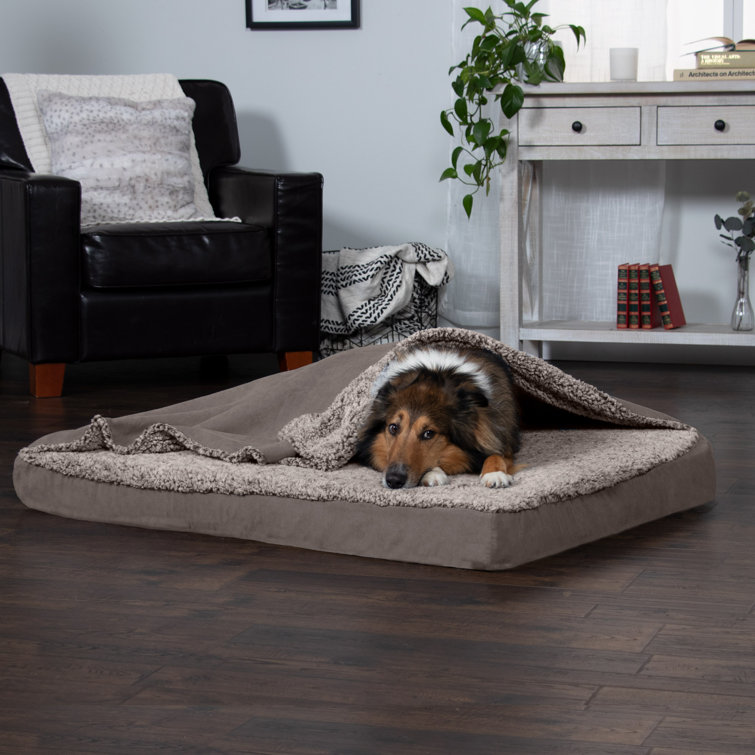 Dog bed best sale with blanket top